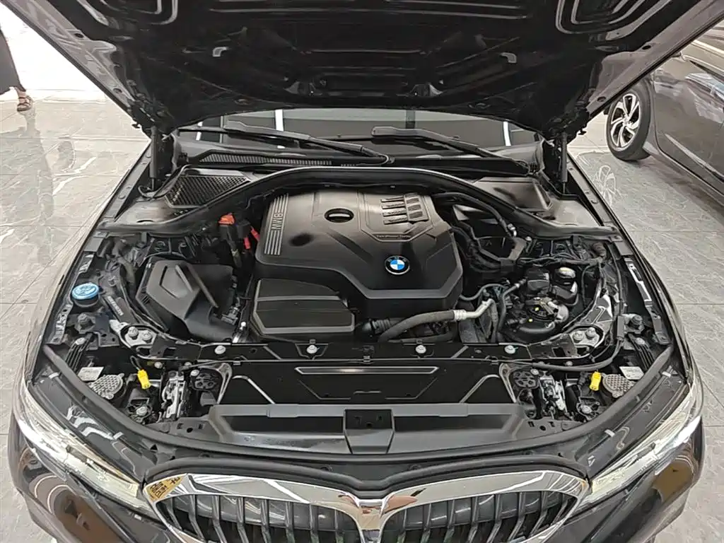 BMW 3 Series 2020 320Li M Sport Package фото 20