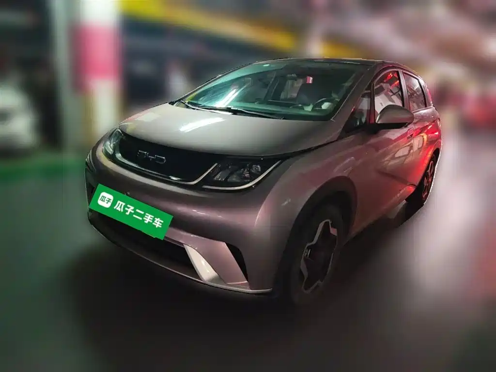 BYD Dolphin 2021 Model 405km Fashion Edition