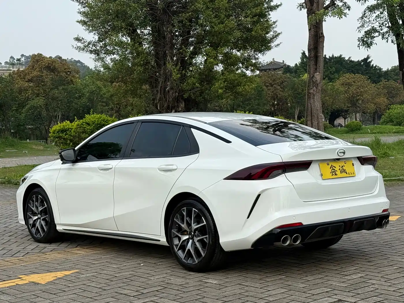 GAC SHADOW LEOPARD