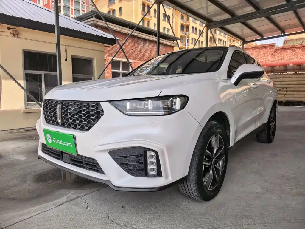  WEY Wey VV5 2020 1.5T 2WD Smart Pioneer