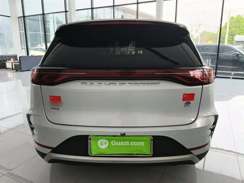 BYD Tang New Energy 2024 DM-i Honor Edition 112KM Premium фото 5