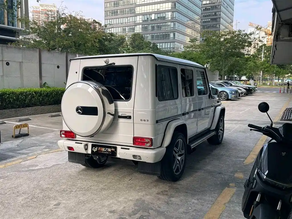 Mercedes-Benz G-Class AMG 2016 AMG G 63 фото 8