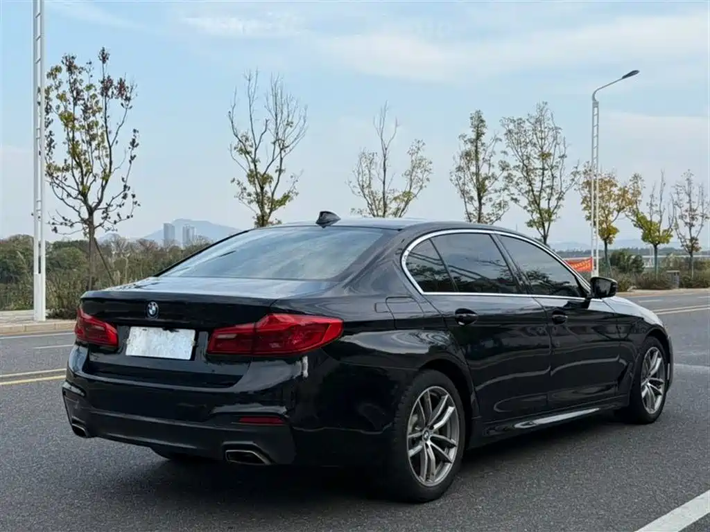 BMW 5 Series 2019 Facelift 525Li M Sport Package фото 6