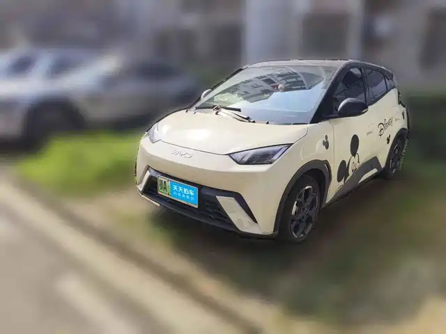 BYD Seagull 2024