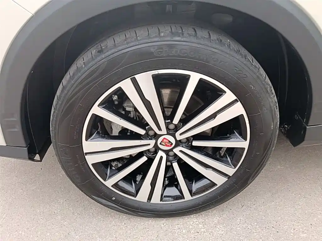 Фото 23 - Roewe RX5
