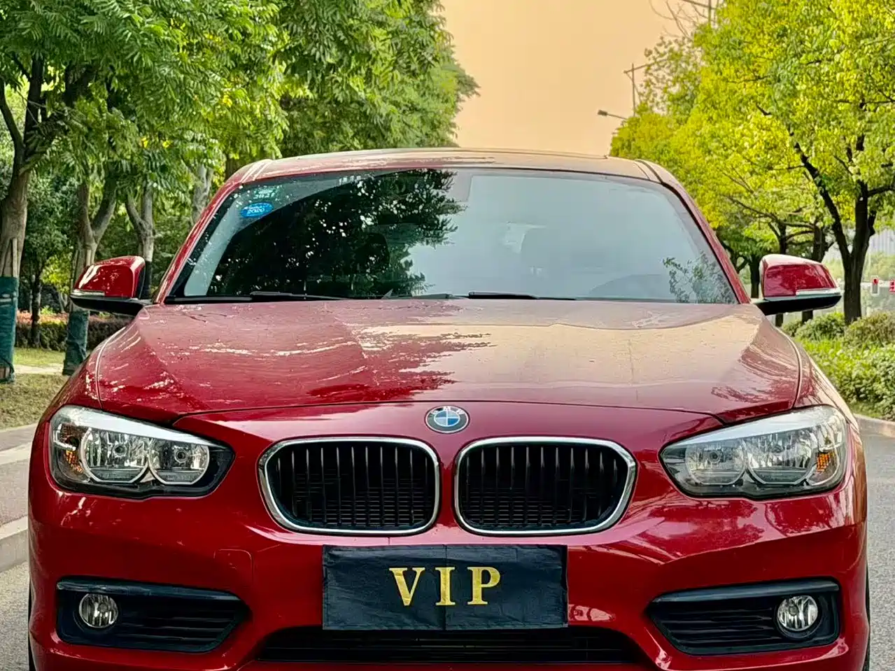 BMW 1 Series (Import) 2018 118i Leading фото 2