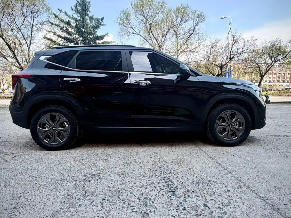 Kia Seltos 2023 1.5L CVT Luxury Edition фото 7