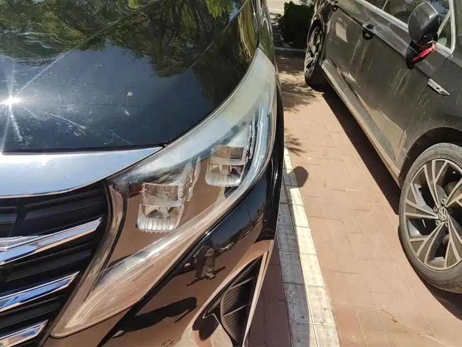 GAC Trumpchi Trumpchi M8 2021 Leading Show Series 390T Ultimate Edition фото 5