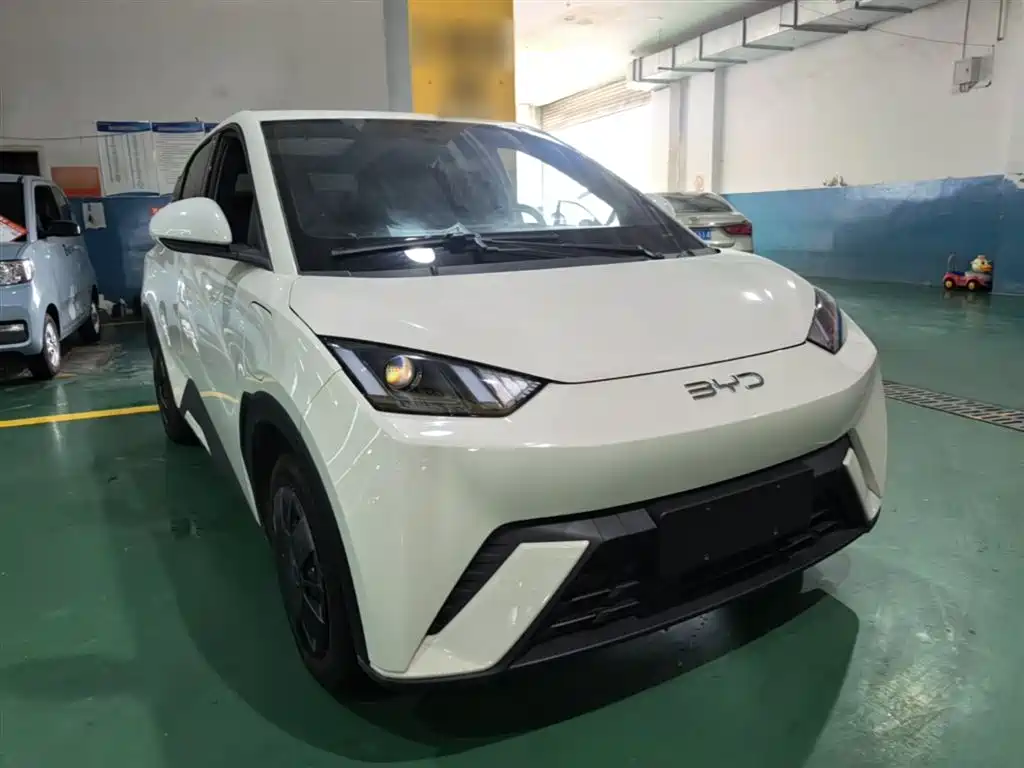 BYD Seagull 2025 305km Vitality фото 4