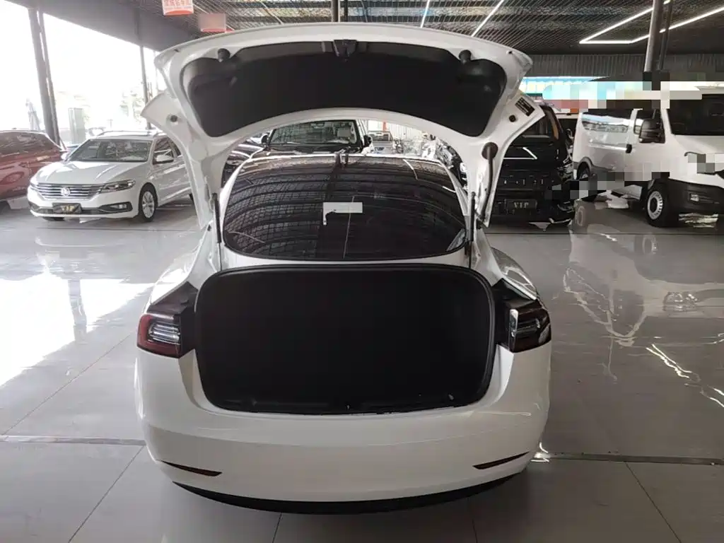 Tesla Model 3 2020 2020 Standard Range Rear-Wheel Drive Upgrade