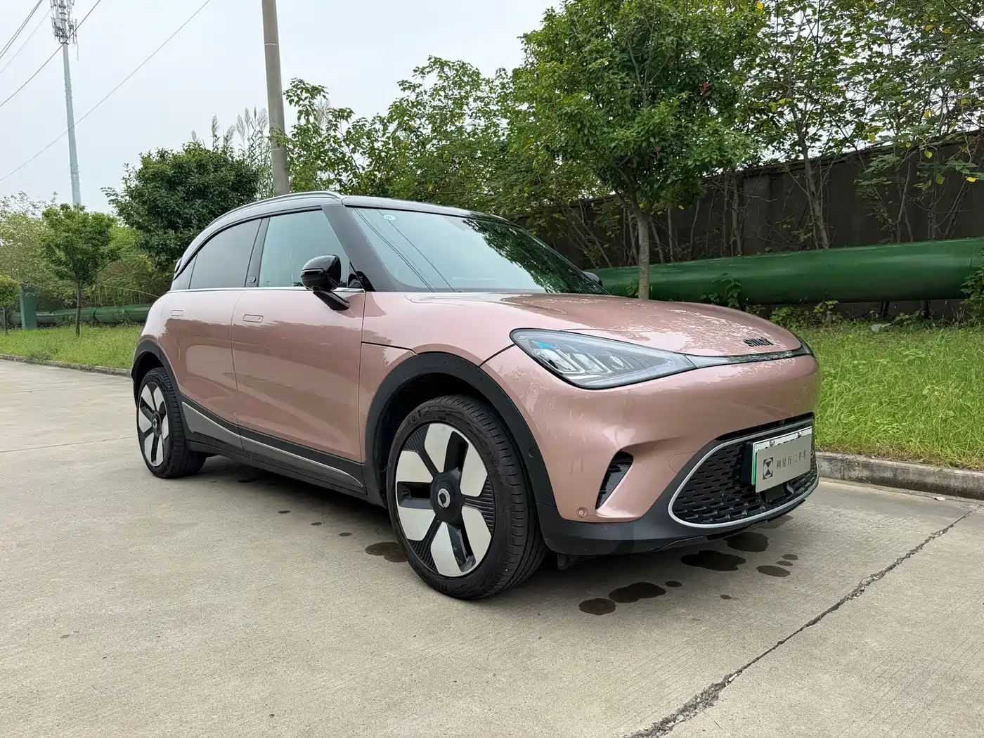 smart Elf #1 2025 2024 Premium Edition