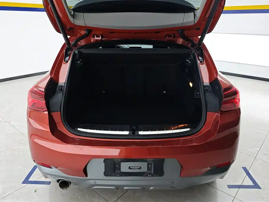 BMW X2 (Import) 2019 sDrive20i M Off-Road Package China VI фото 4