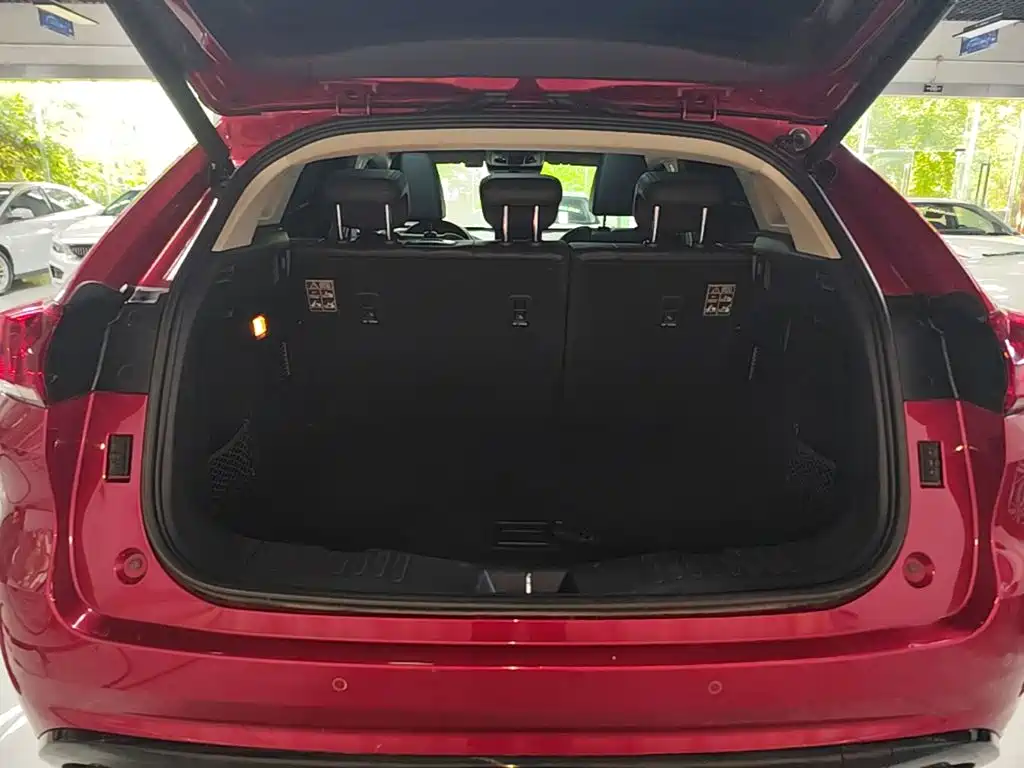 WEY VV5 2017 2017 2.0T Super Luxury Model
