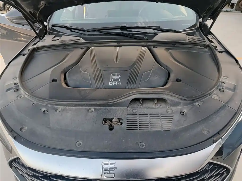 BYD Tang New Energy 2024 DM-i Honor Edition 112KM Premium фото 20