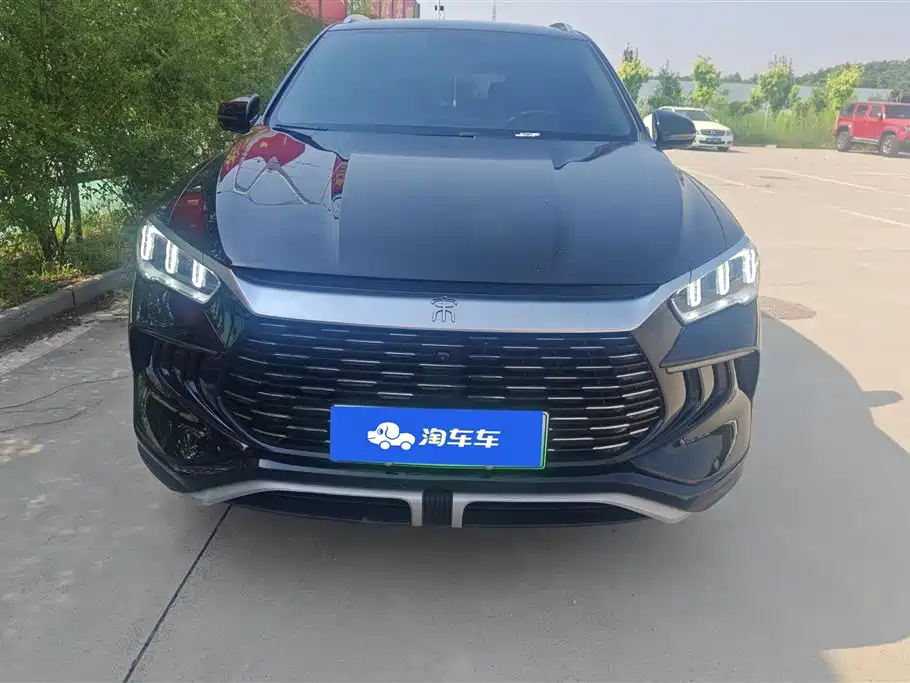 BYD Song Pro New Energy 2024 Glory Edition DM-i 71KM Pilot фото 2