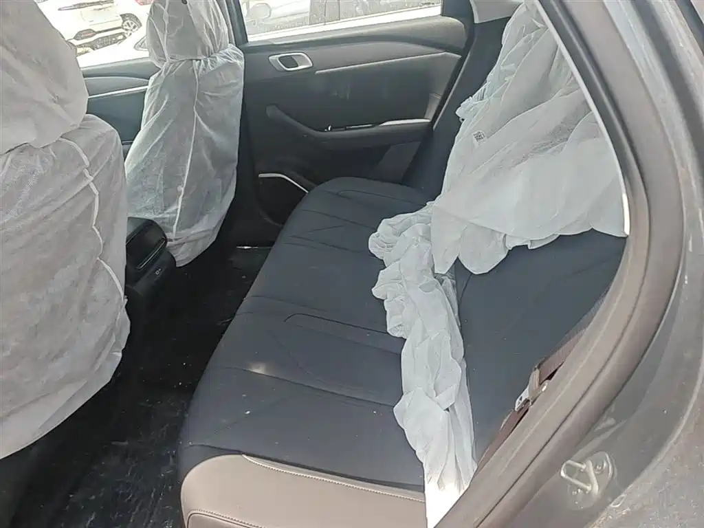 Geely Galaxy Galaxy Stellar 6 2025 Model 60km Free Edition фото 17