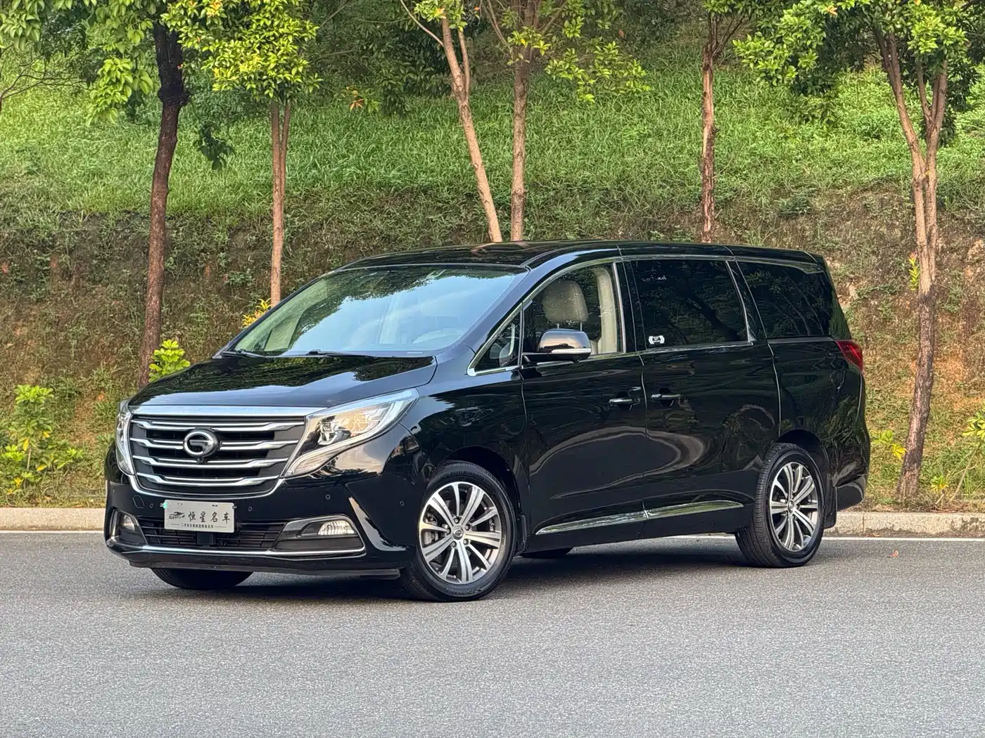 GAC Trumpchi M8 2018 2018 320T Flagship Edition