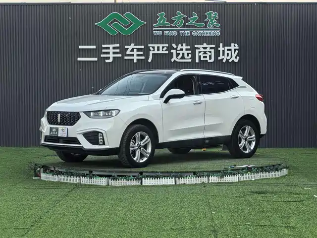 wei-pai wei-brand-vv5