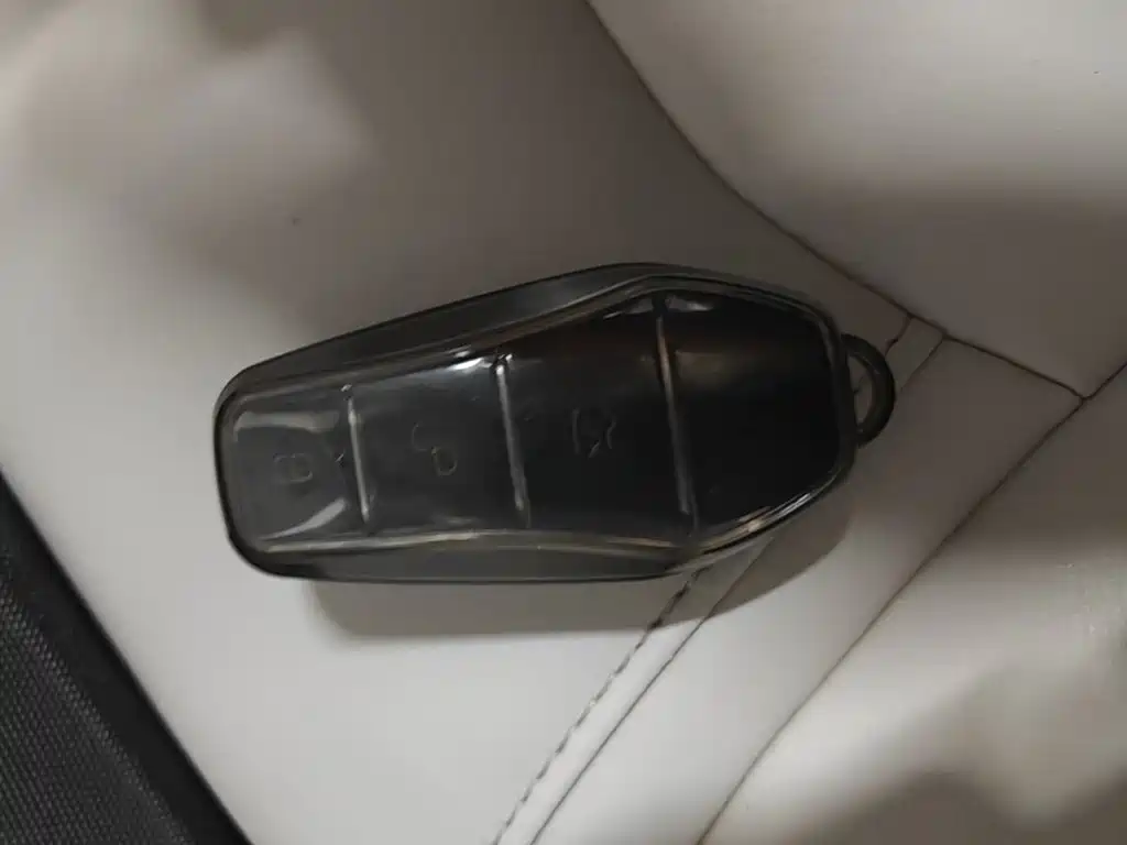 BYD Yuan Pro 2022 2021 401KM Luxury Model