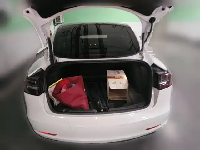 Tesla Model 3 2021 Standard Range Rear-Wheel Drive Upgrade — фото 5