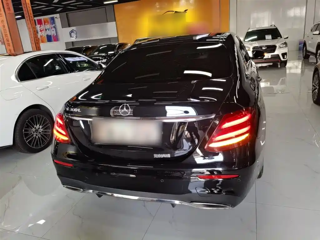 Mercedes-Benz E-Class 2020 E 300 L Sport Luxury Model фото 6