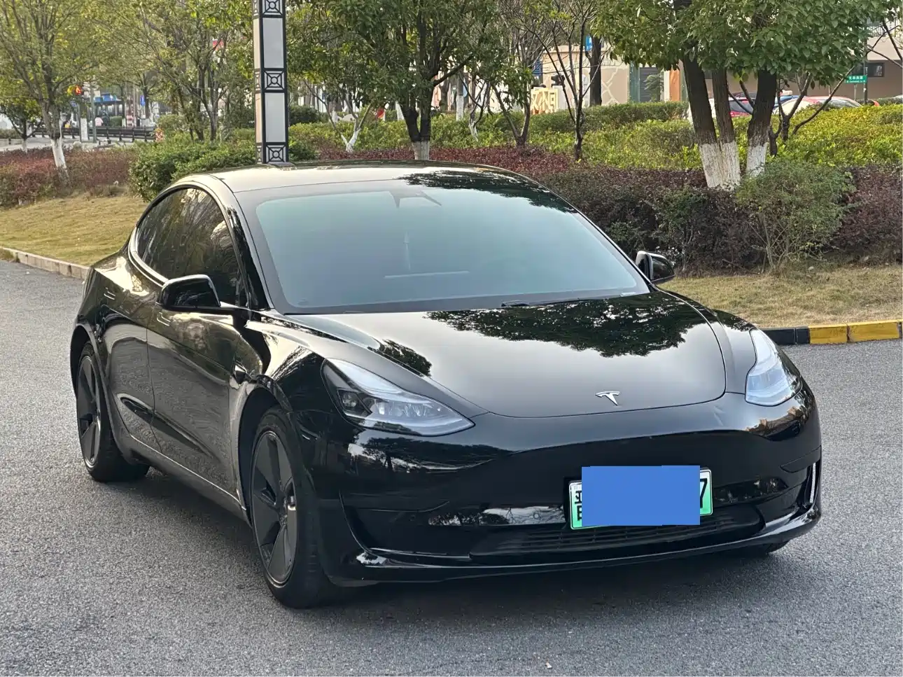 Tesla Model 3 2021