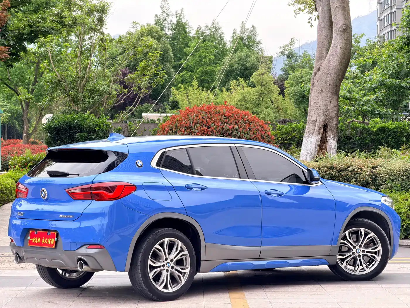 BMW X2 (Import) 2019 sDrive25i Luxury M Off-Road Package China VI фото 13