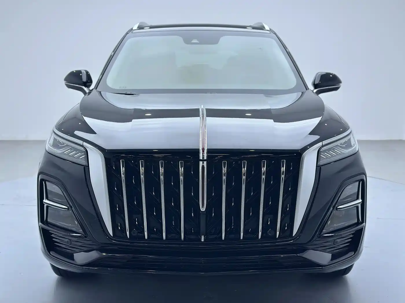 Hongqi HS5 2023 2.0T Flag Enjoy Pro Edition фото 2