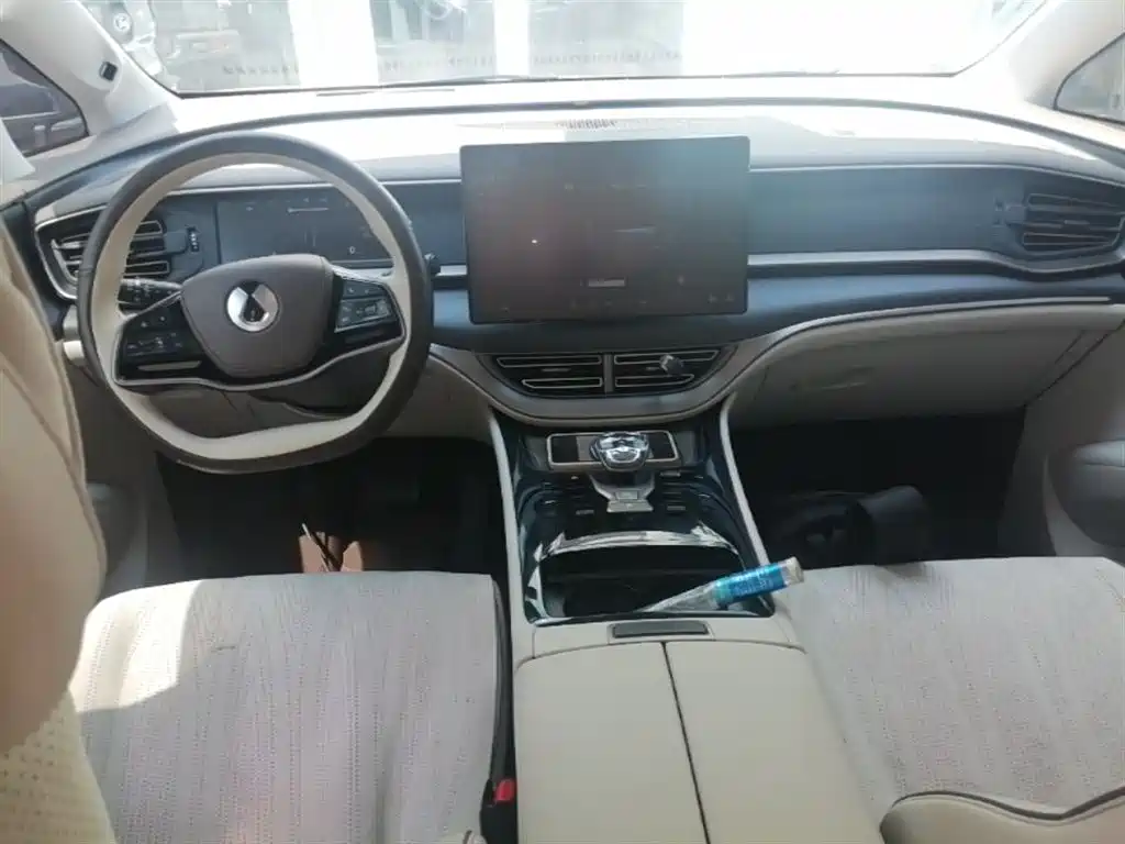 Denza D9 2022 DM-i 970 AWD Flagship фото 10