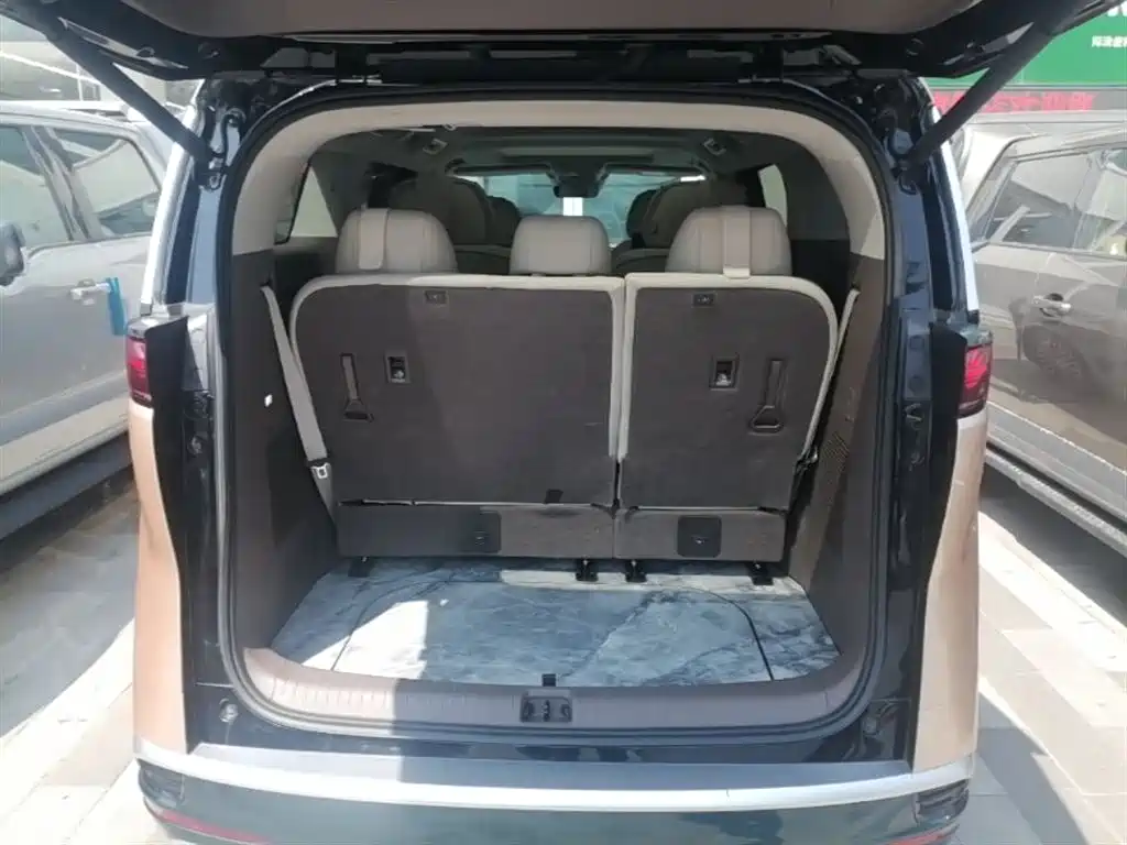 Denza D9 2022 DM-i 970 AWD Flagship фото 19