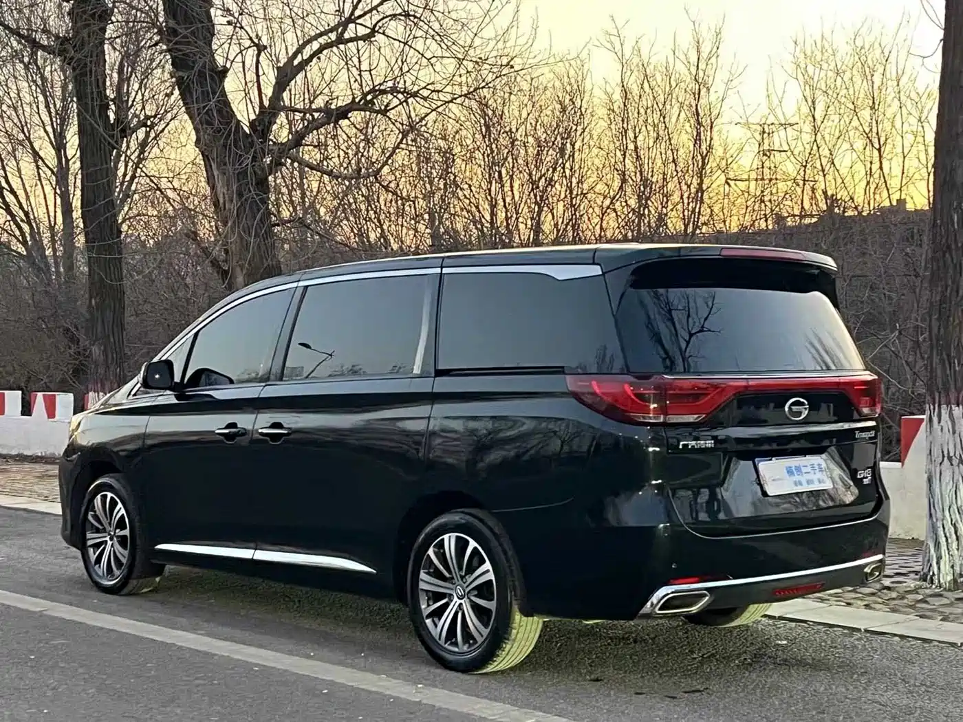 GAC Trumpchi Trumpchi M8 2018 320T Premium Edition фото 6