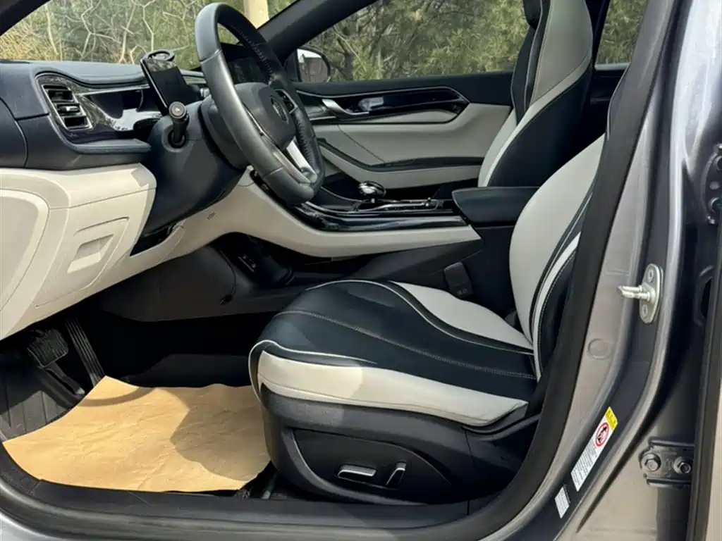 BYD Qin PLUS 2021 DM-i 55KM Flagship фото 9