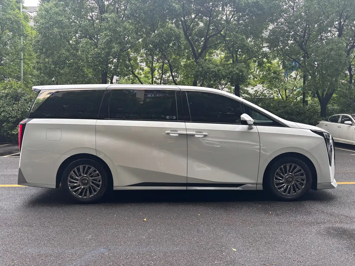 GAC Trumpchi Trumpchi M8 2023 Model Master Series Hybrid Royal Edition фото 9