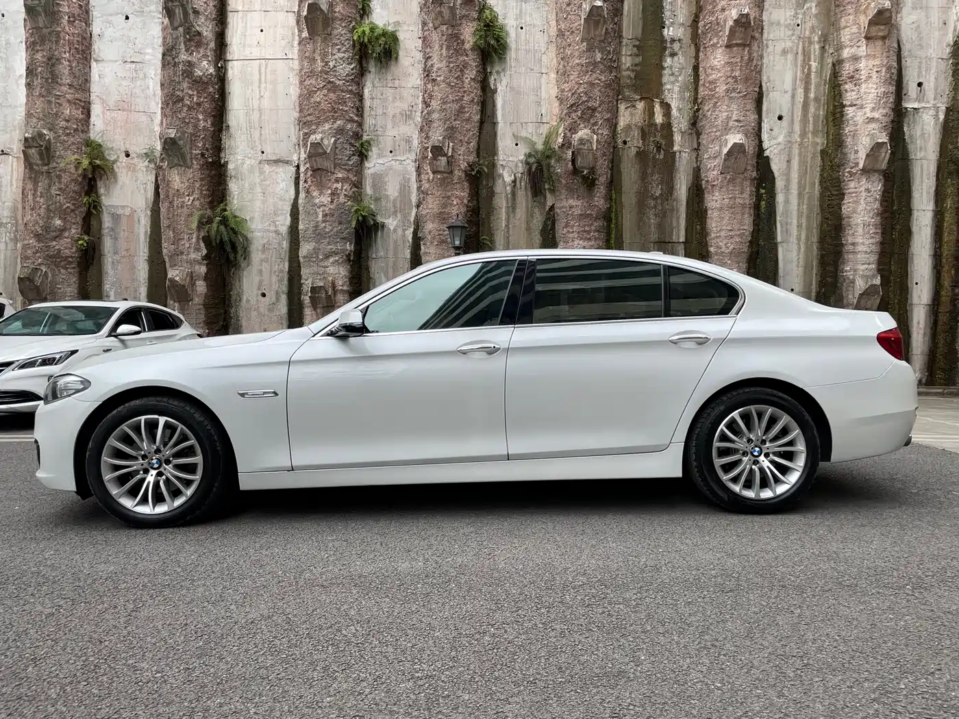 BMW 5 Series 2014 525Li Luxury Design Package фото 4
