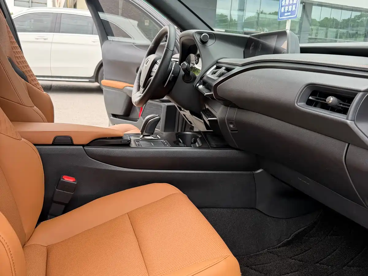 Lexus UX Electric 2020 300e Pure Yue Edition фото 7
