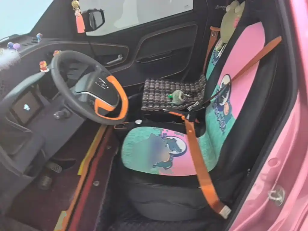 Baojun E100 2019 2019 250KM Smart Edition