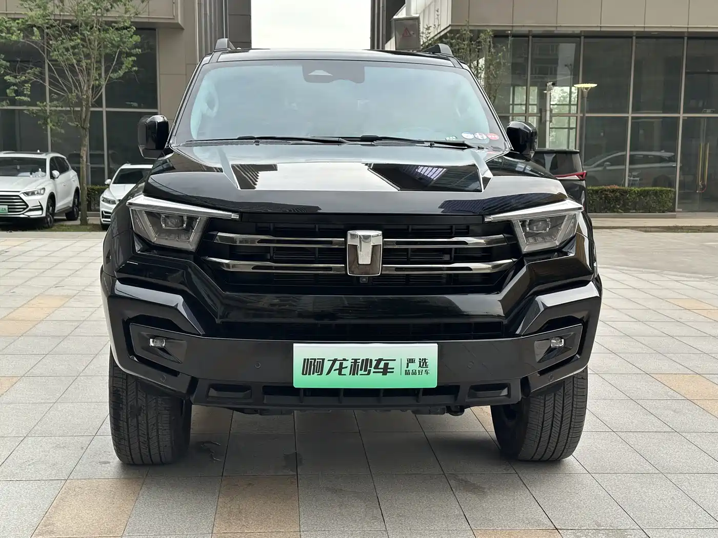Tank 400 New Energy 2024 Hi4-T Off-Road Edition фото 3