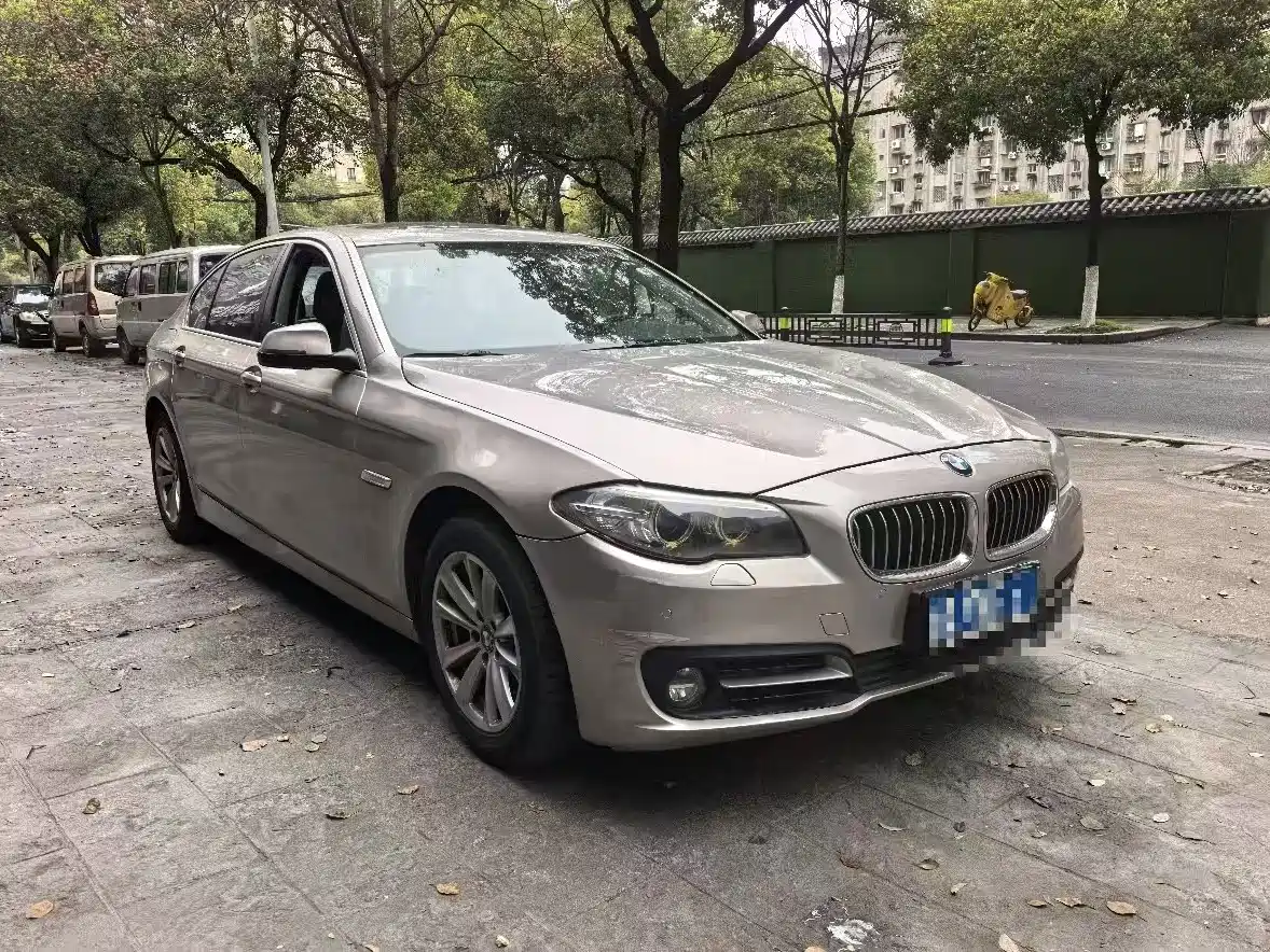 BMW 5 Series 2014 520Li Elegance