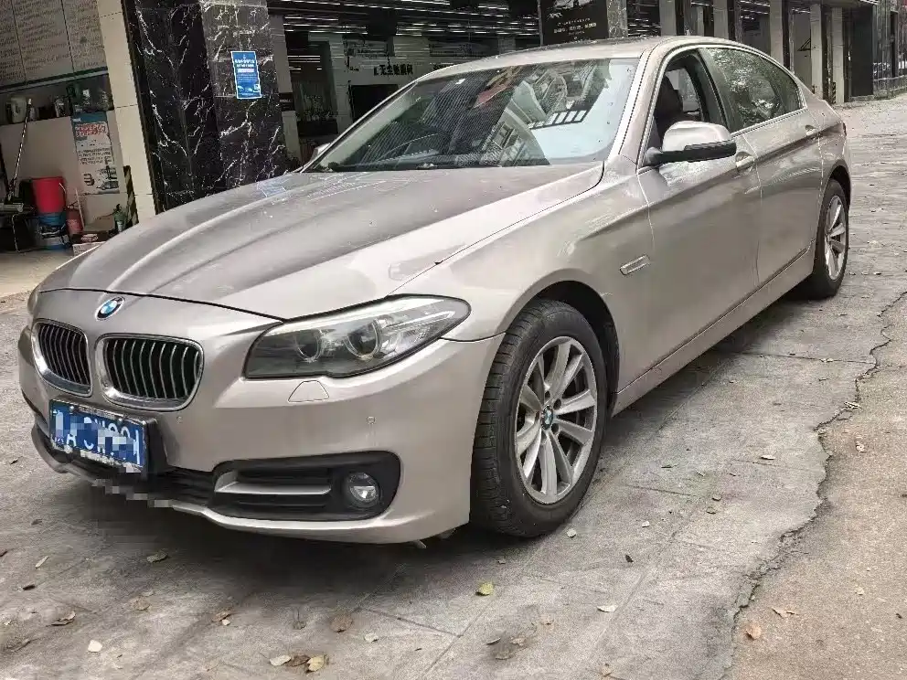 BMW 5 Series 2014 520Li Elegance фото 3
