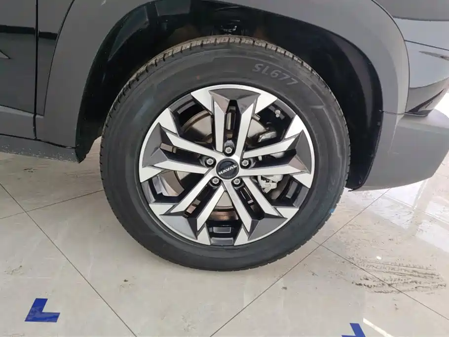 Haval Big Dog 2024 1.5T DCT Border Collie Edition фото 6