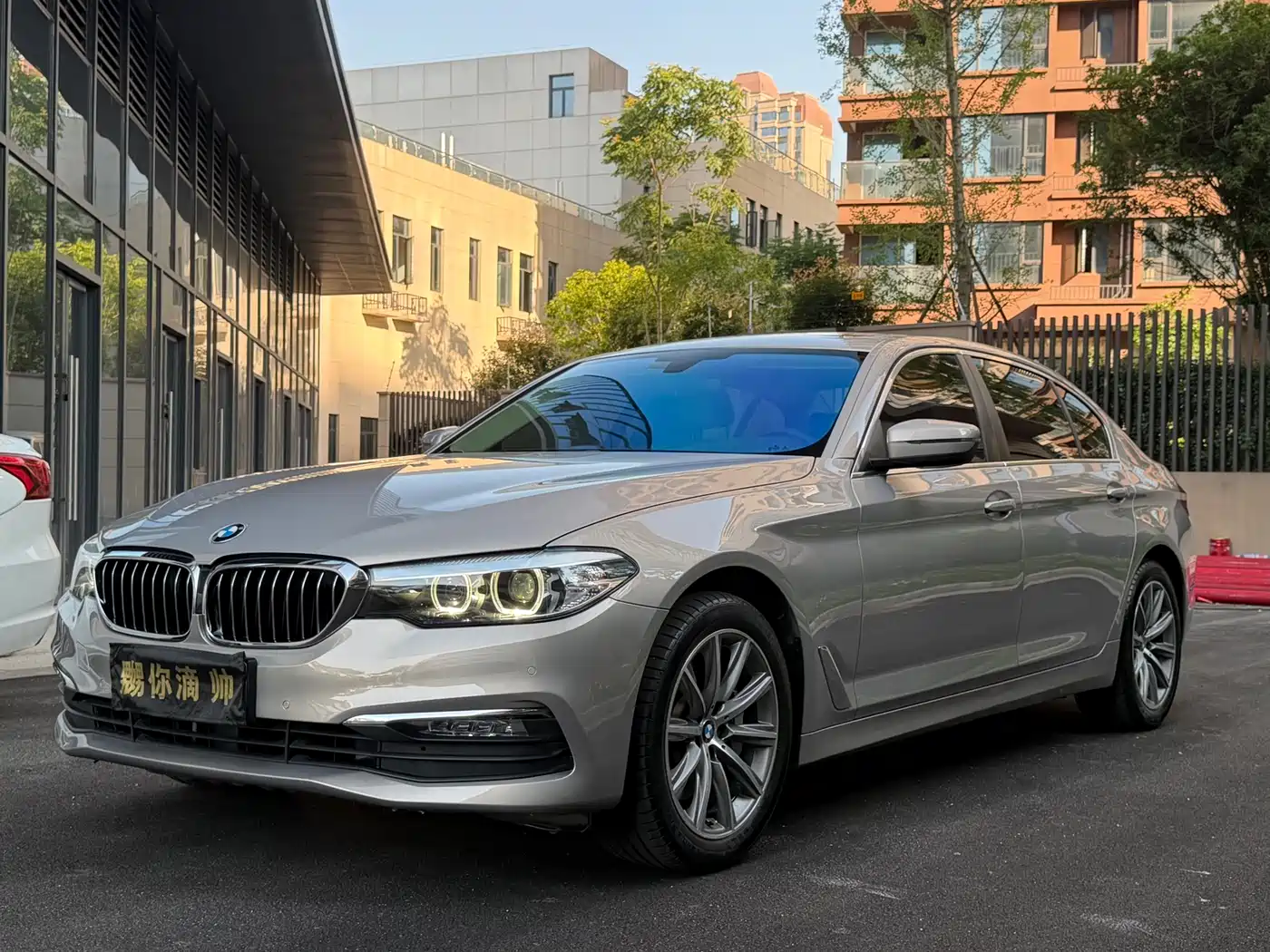 BMW 5 Series 2018 528Li Launch Special Edition