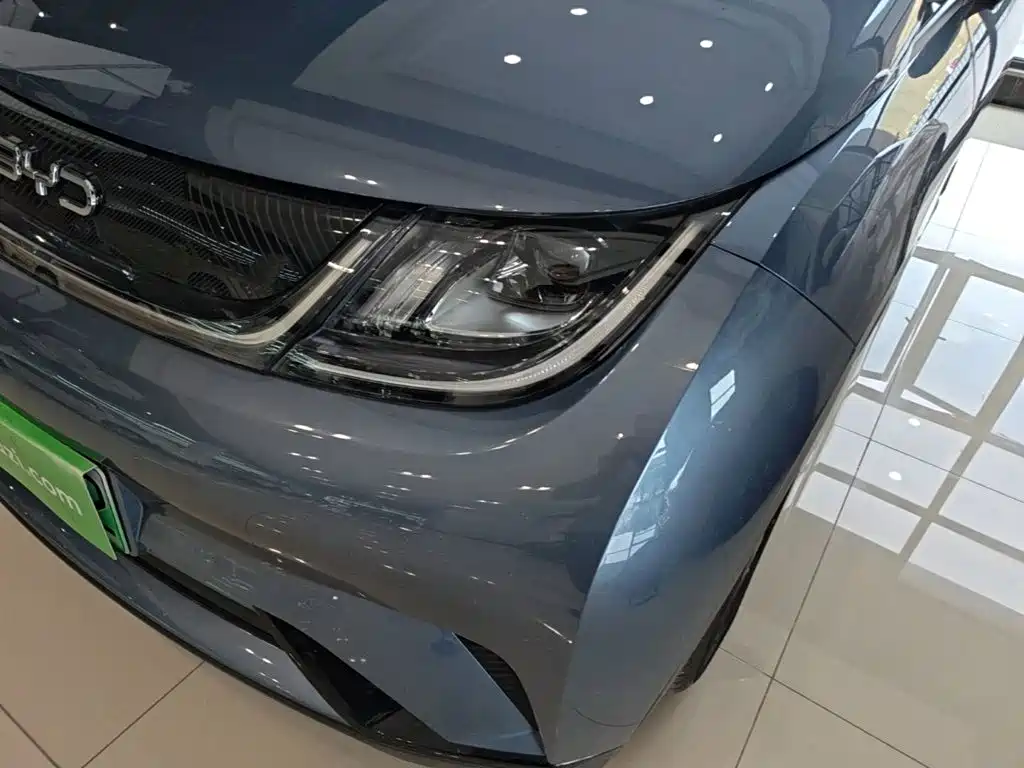 BYD Dolphin 2026 2025 420km Freedom Edition