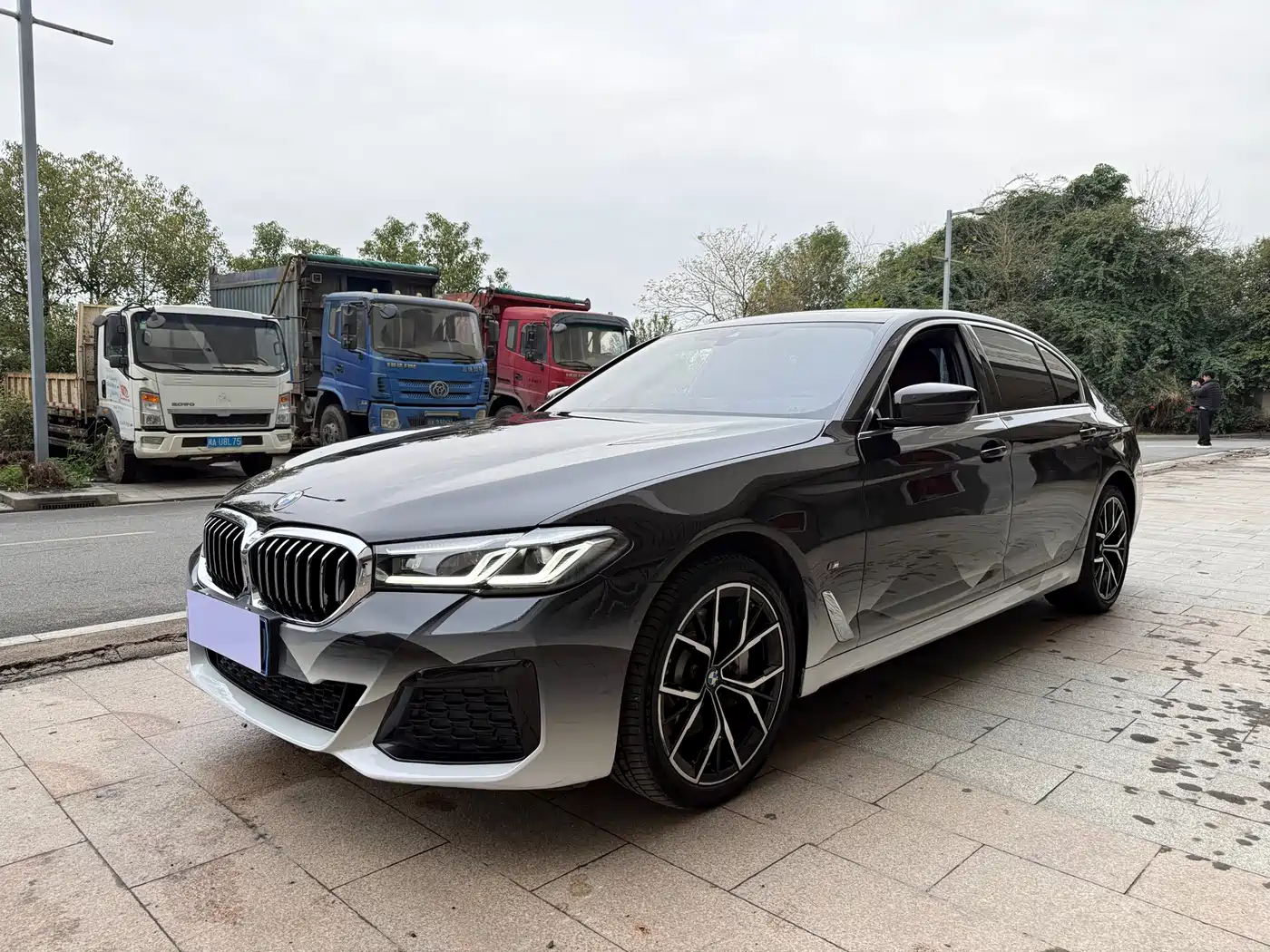 BMW 5 Series 2021 530Li Premium M Sport Package