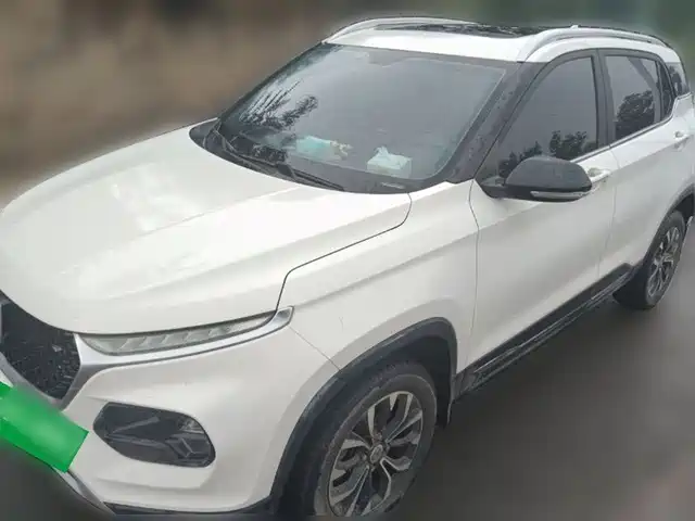 Baojun 510 2019