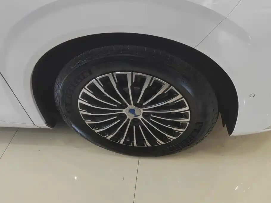 Denza D9 2023 2022 DM-i 970 AWD Flagship