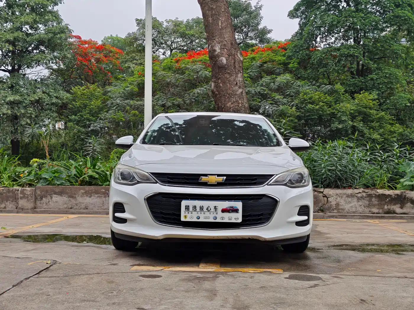 Chevrolet Cavalier 2019 325T Dual-Clutch Joy Edition фото 2