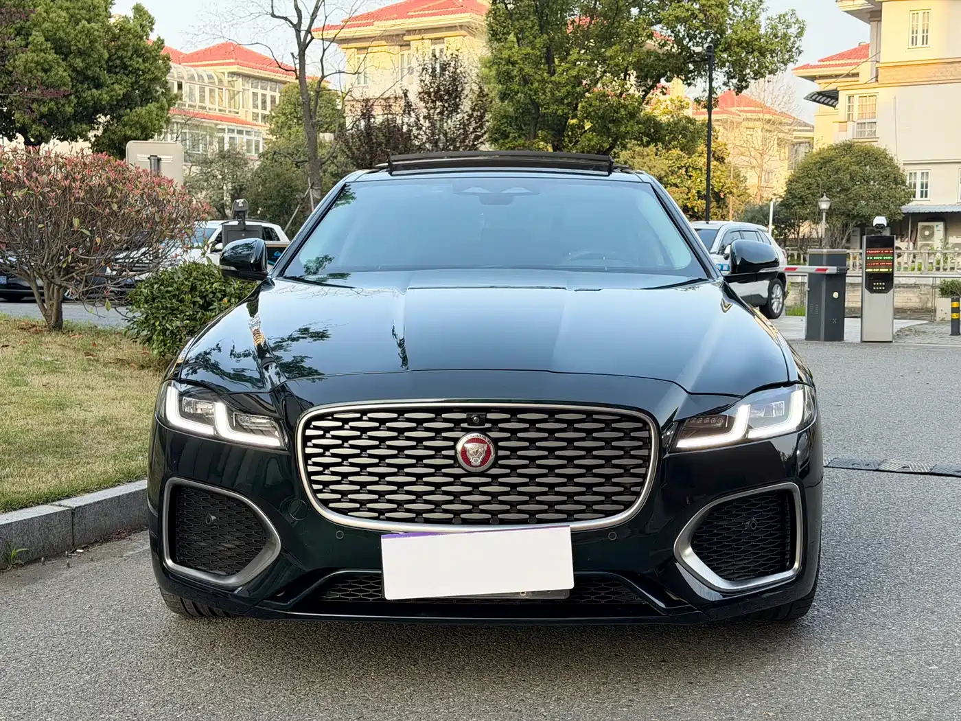 Jaguar XFL 2024 2.0T P250 2WD Premium Luxury фото 3