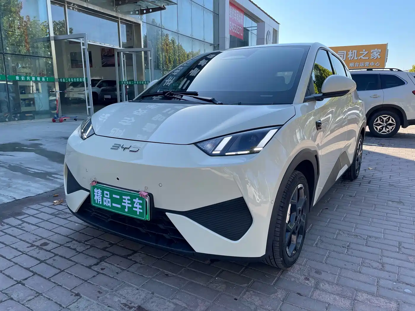 2026 BYD Seagull