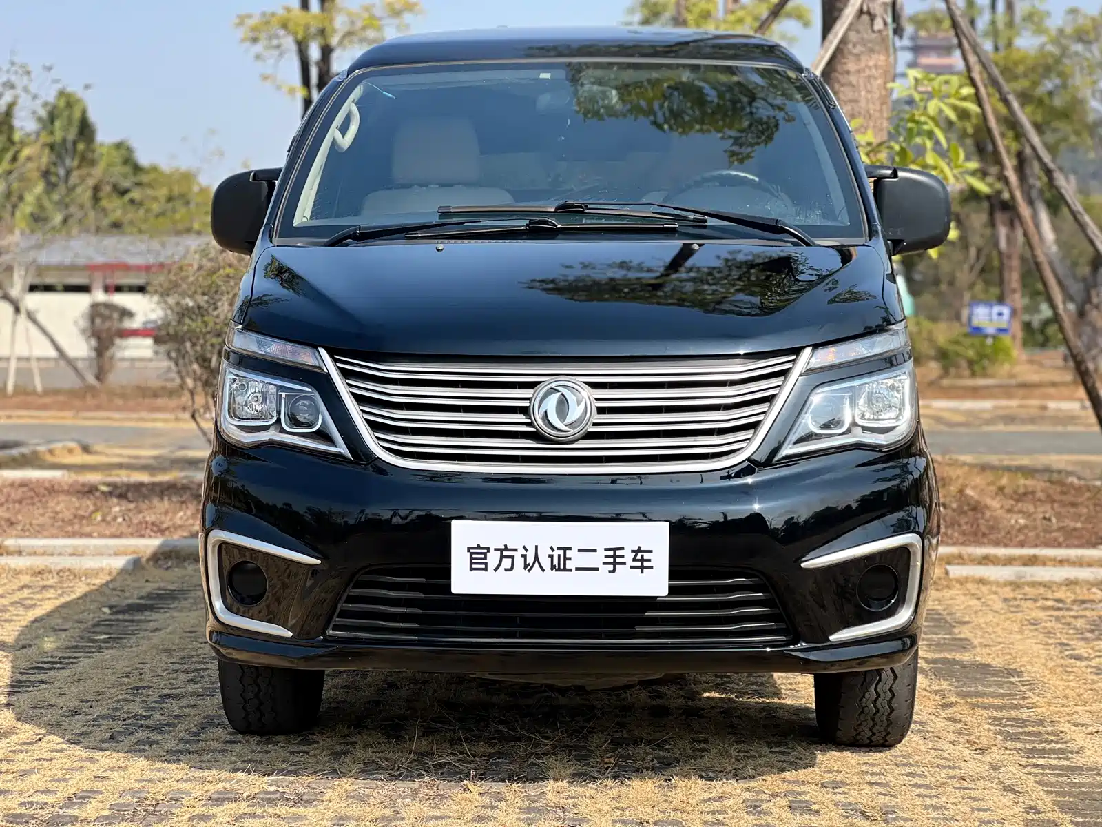 Photo 2 - Dongfeng Fengxing Lingzhi