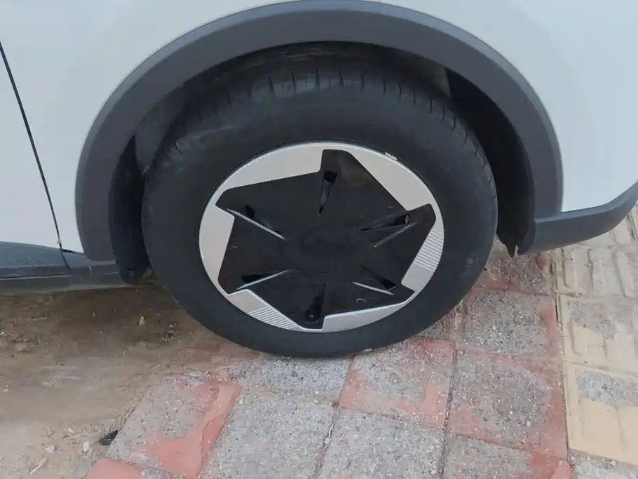 Фото 6 - Geely Geometry E Firefly